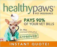 Healthy Paws Review
